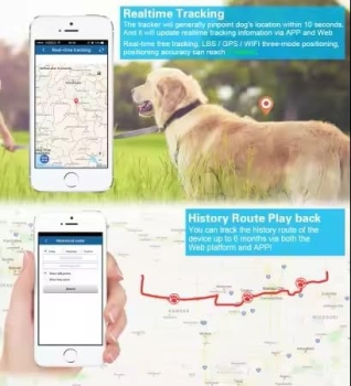 Preview: TKSTAR TK911 4G LTE GPS Halsband Hund Katze Tier Tracker Peilsender + wasserdicht 700mAh Akku/Nur 41g / Live-Tracking ohne Vertrag